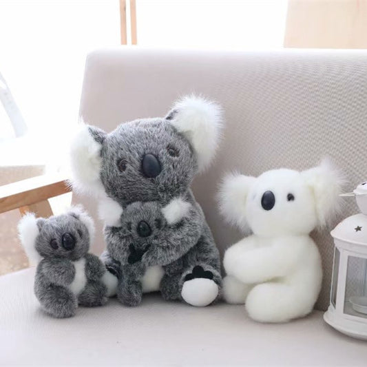 YARAN EMPORIUM soft koala plush toy for kids in various sizes sitting on a couch