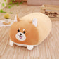 Comfortable Long Pillow For Relaxing Sleep Time