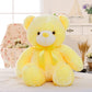 Fun Glowing LED Teddy Bear Plush Toy