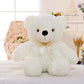 Fun Glowing LED Teddy Bear Plush Toy