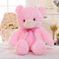 Fun Glowing LED Teddy Bear Plush Toy