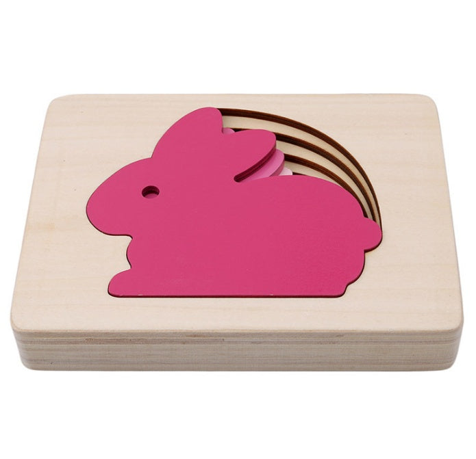 Gradient Color Puzzle Toy For Brain Development