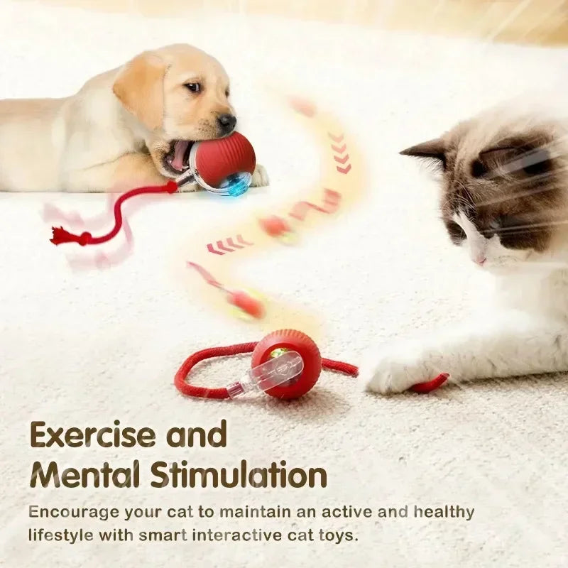 Cat Interactive Smart Ball Toy – Automatic Rolling with Tail, Rechargeable Cat Toy