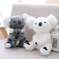 YARAN EMPORIUM koala plush toy for kids in gray and white sitting on a couch with soft fur